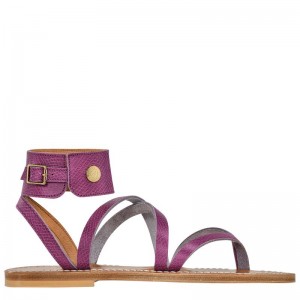Purple Women's Longchamp x K.Jacques Sandals Sandals | 4753-MGVTS